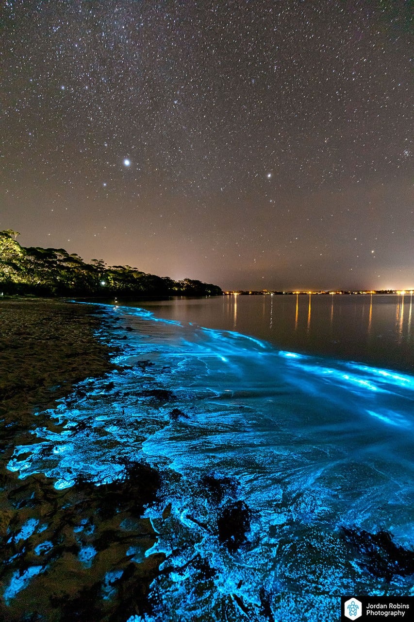 La bioluminescence en Australie :