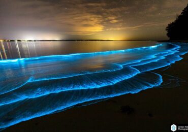 bioluminescence australie
