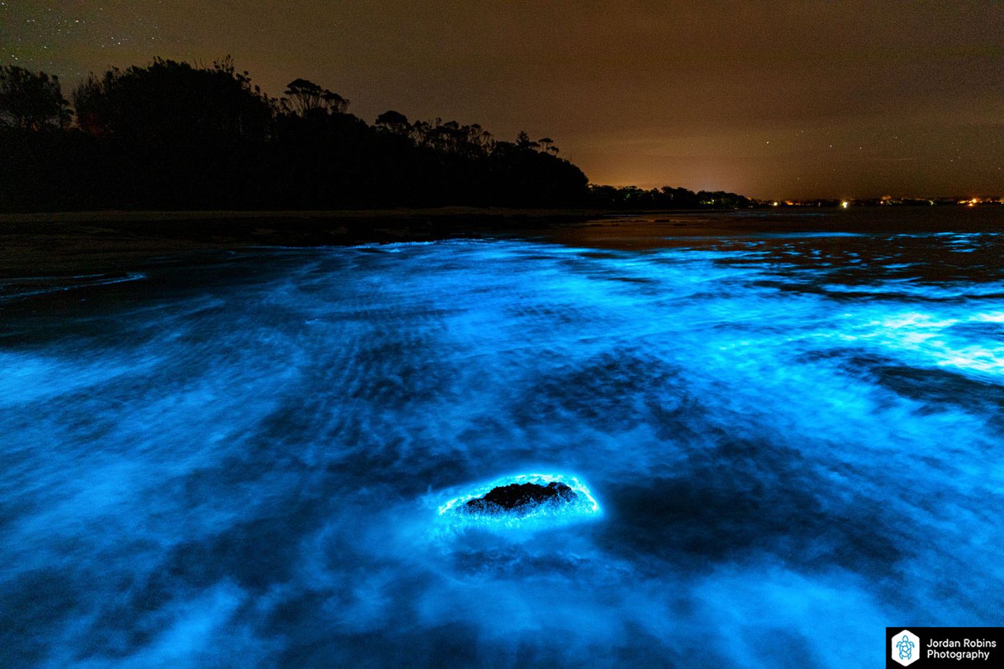 La bioluminescence en Australie :