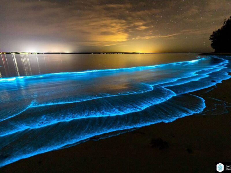 La bioluminescence en Australie :