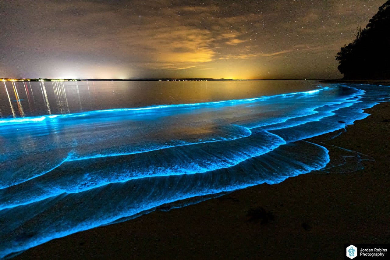 bioluminescence australie