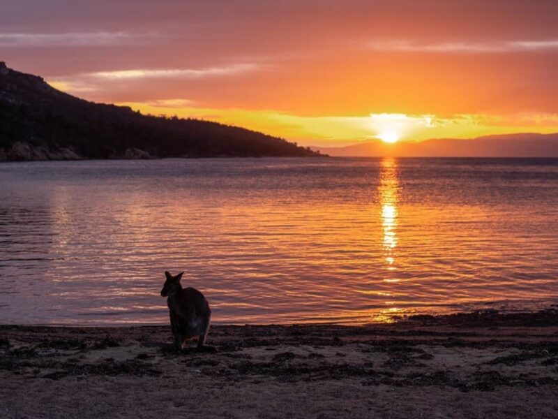 Coucher de soleil à Honeymoon Beach, Freycinet National Park, guide
