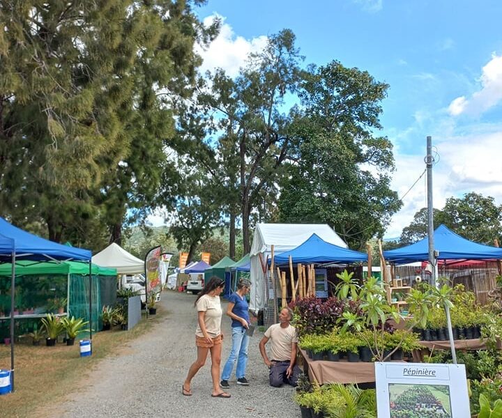 Photo d'une allée du Salon Nature et Jardin de Nouvelle-Calédonie. On y voit des stands, des bambous, de nombreuses plantes ainsi qu'une affiche indiquant que le stand au premier plan est celui d'une pépinière.