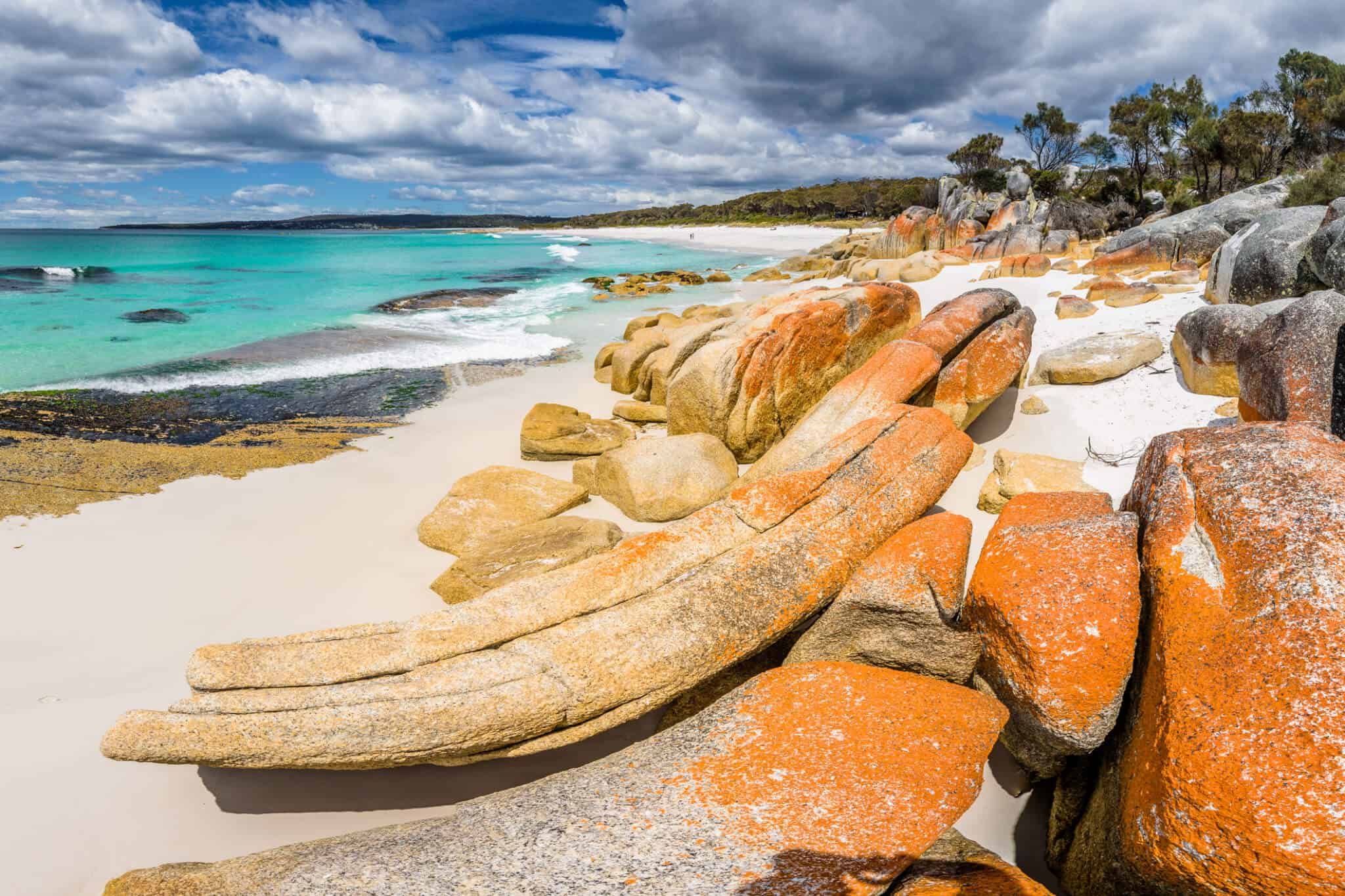 Bay of Fires sur la côte Est de la Tasmanie