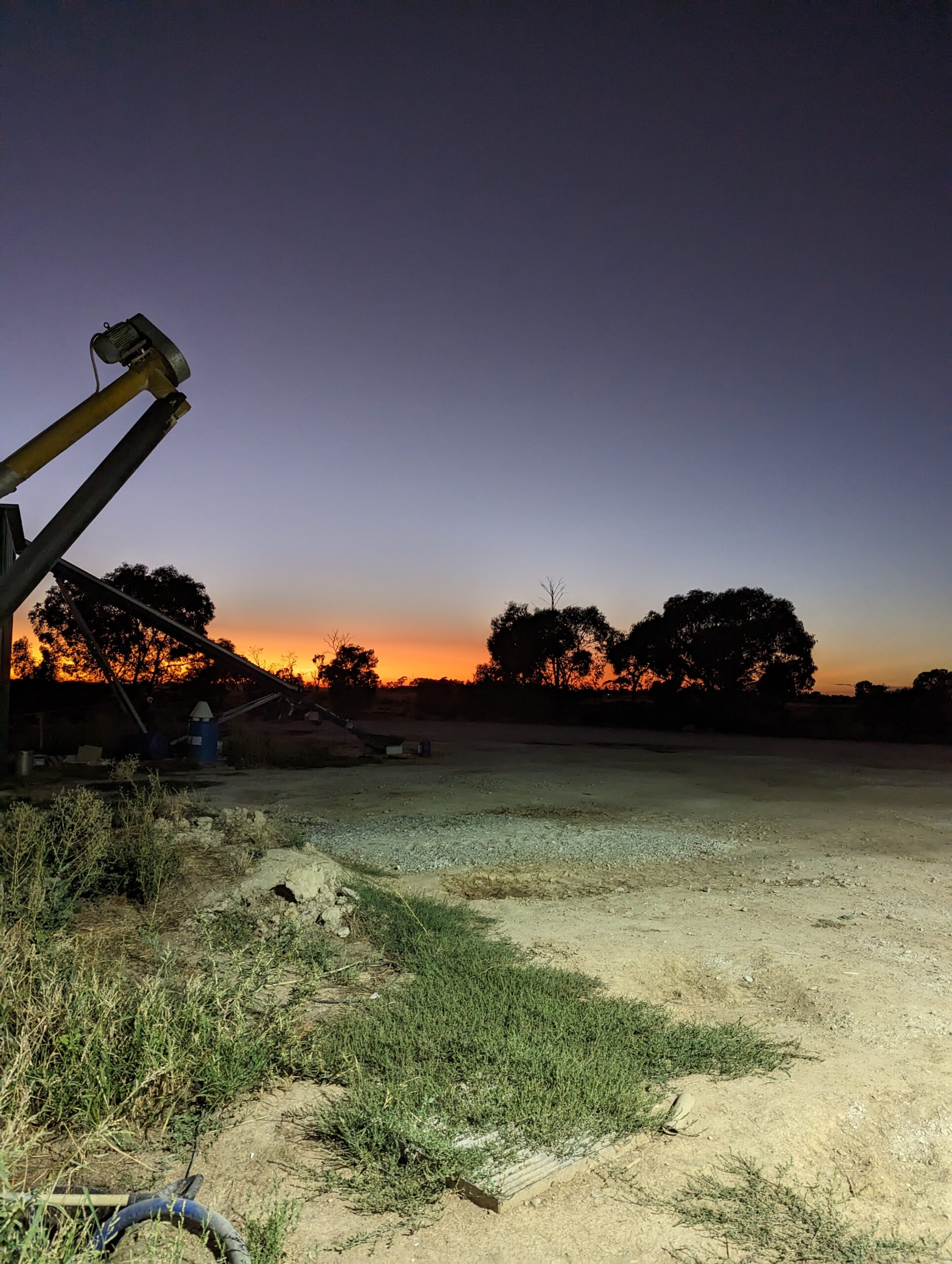 Dairy farm dans le Victoria en Australie, milking.