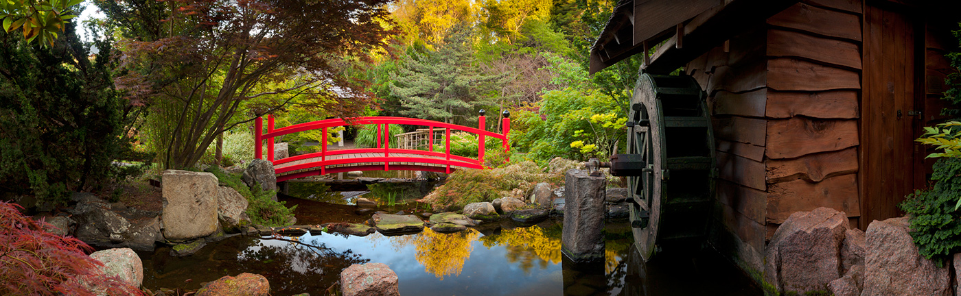 Jardin japonais du Royal Tasmanian Botanical Gardens à Hobart en Tasmanie