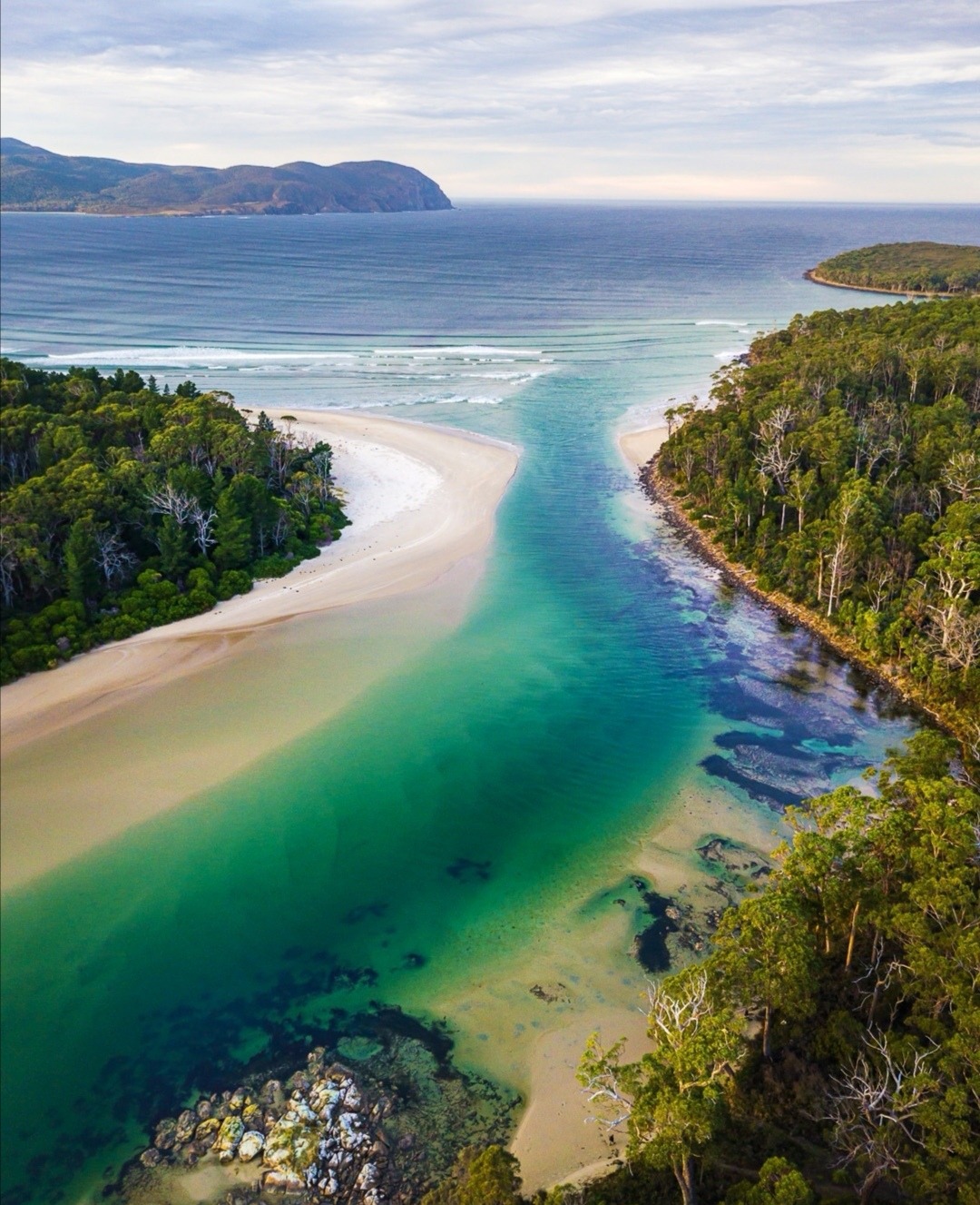 Plage de Cloudy Bay à Bruny Island en Tasmanie