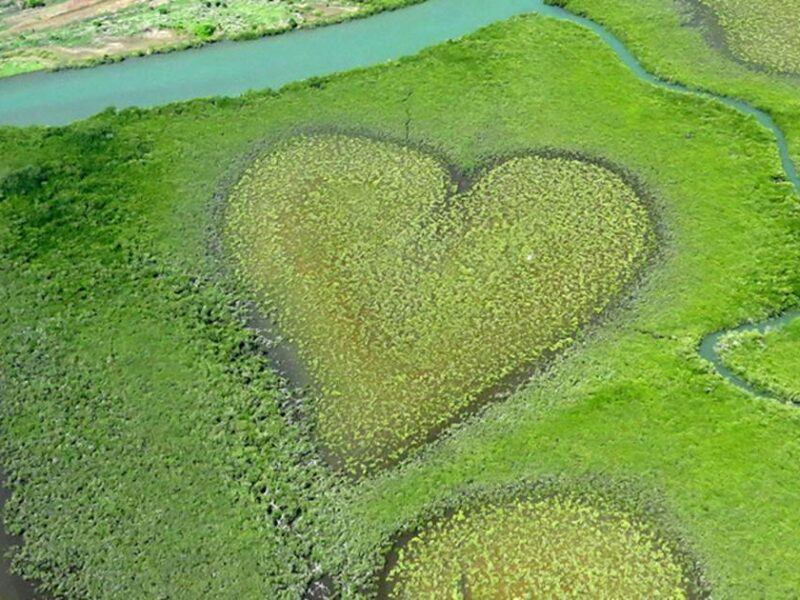 Photo aérienne du cœur de Voh, un incontournable de Nouvelle-Calédonie