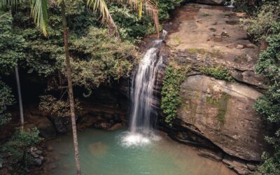 Comment voyager avec un drone en 2024 ?