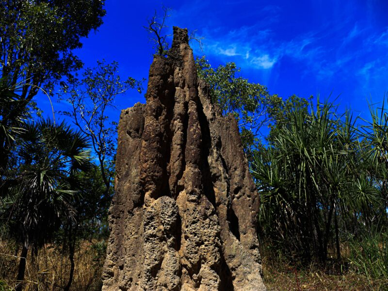 Parc national de Litchfield en Australie 