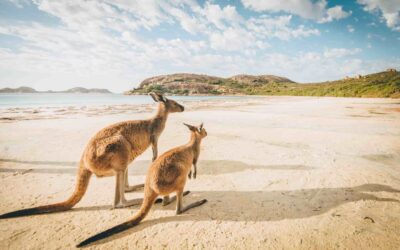 20 meilleurs sites qui recrutent en PVT Australie