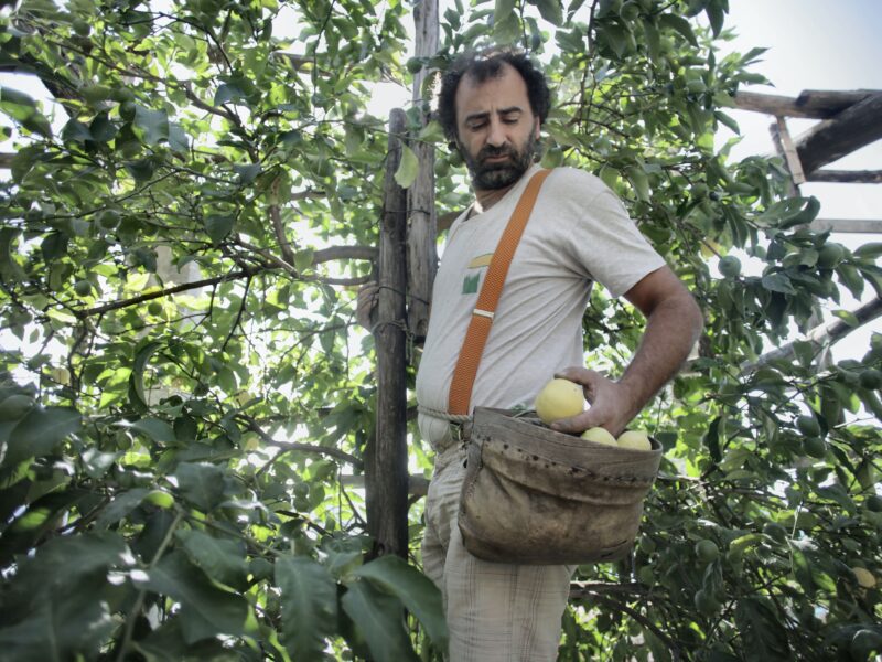 trouver du travail dans le fruit picking durant son PVT en Australie