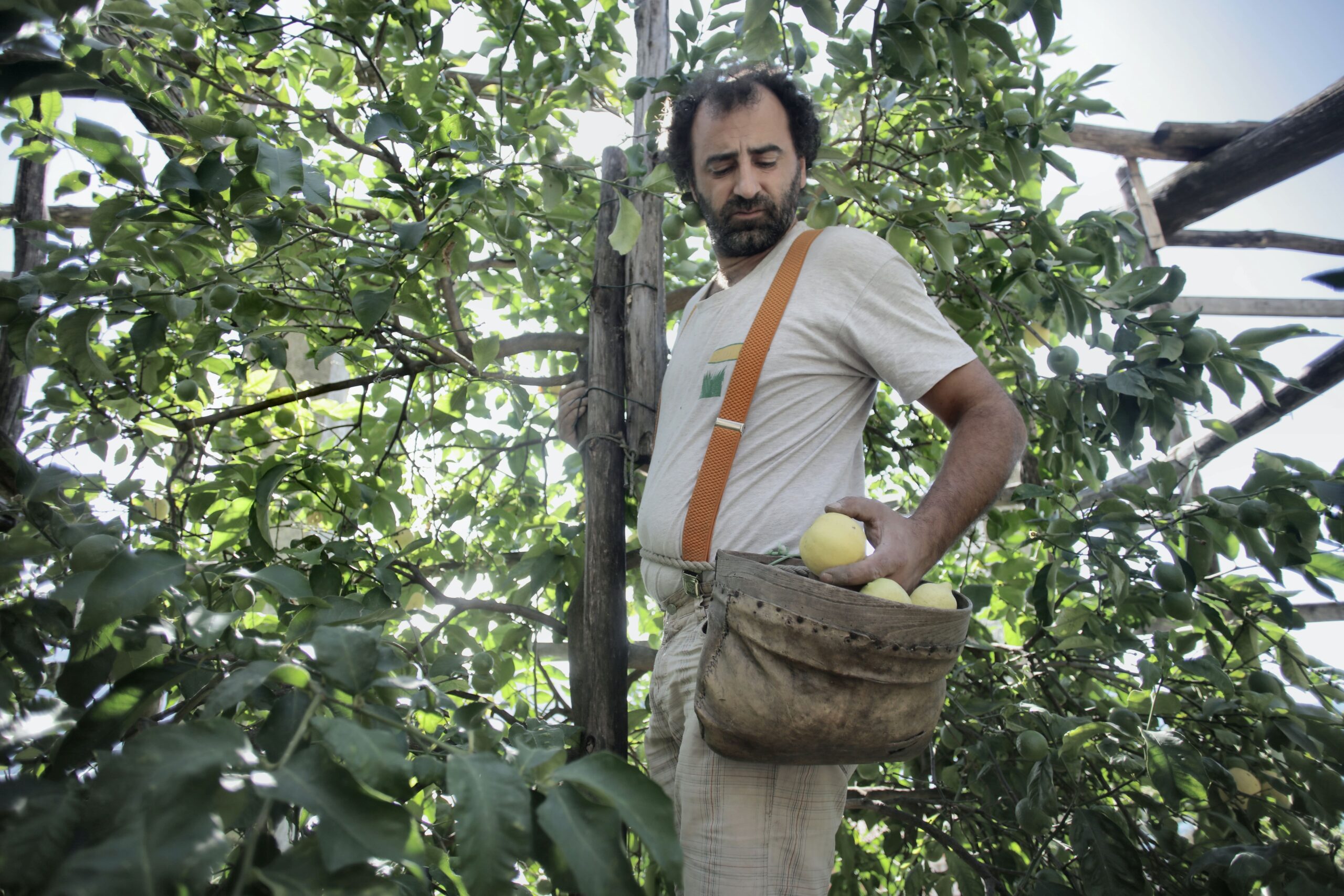 trouver du travail avec le fruit picking lors de son voyage en australie