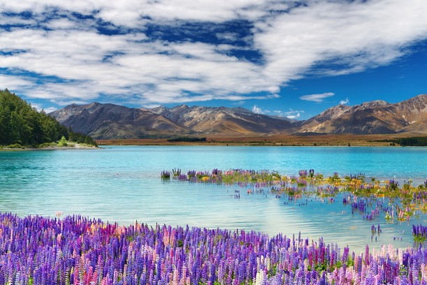 Lac Tekapo