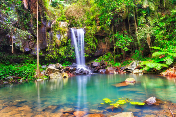 Tamborine Mountain