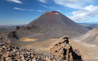 Le prix du PVT Nouvelle-Zélande va passer de 455 à 705 $ 