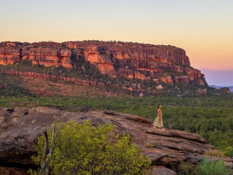 Kakadu en Australie