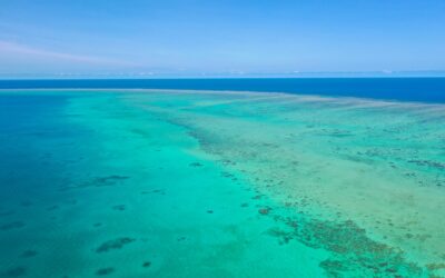 J’ai réalisé un rêve : voir la Grande Barrière de Corail en Australie