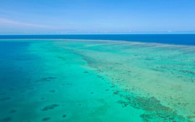 J’ai réalisé un rêve : voir la Grande Barrière de Corail en Australie
