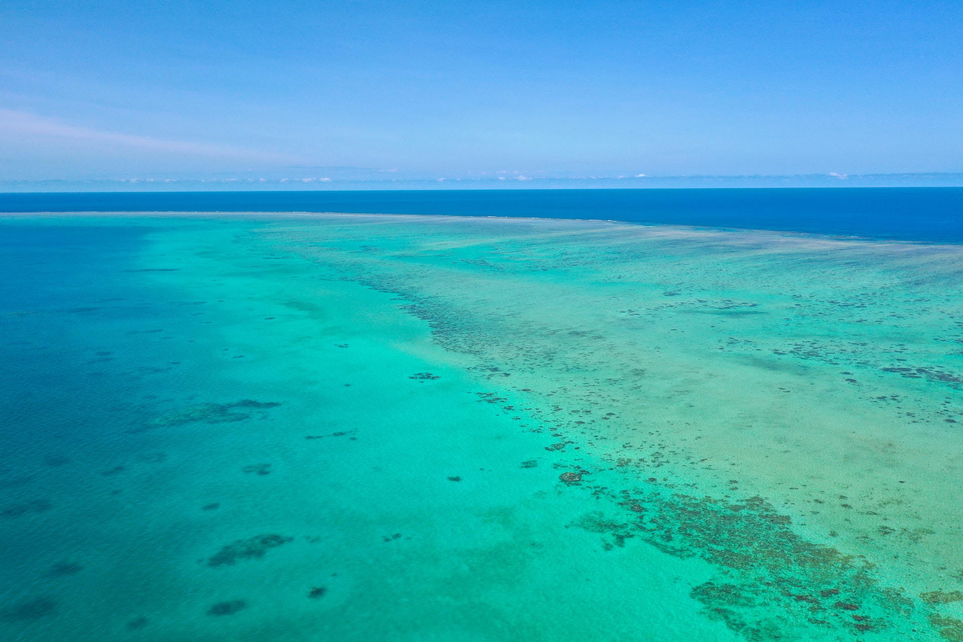 Grande barrière de corail