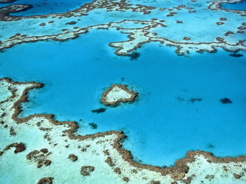 Grande barrière de corail en Australie