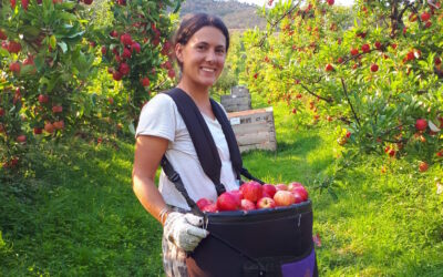 Comment trouver du travail en Tasmanie