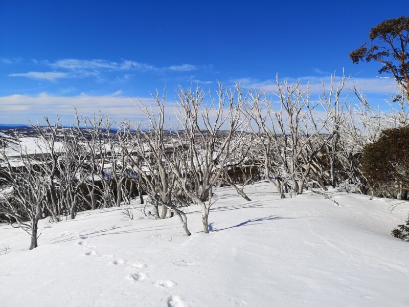 Station de ski Australie