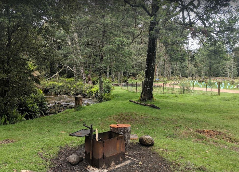 Liffey Falls free camp North Tasmania