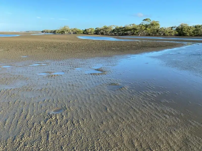 Plage de Nudgee Beach plages de brisbane