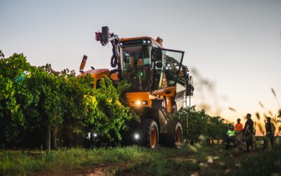 Australie : 20 sites utiles pour travailler en ferme