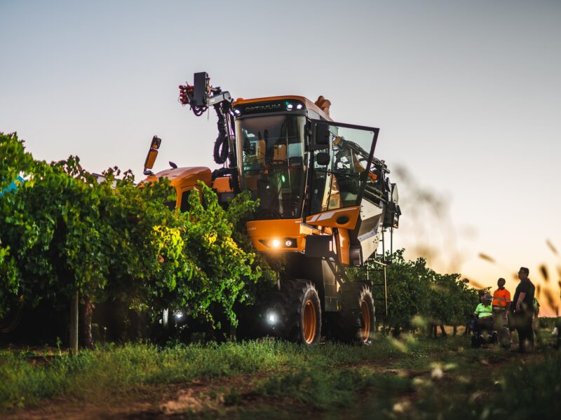 Travail dans les vignes en Australie