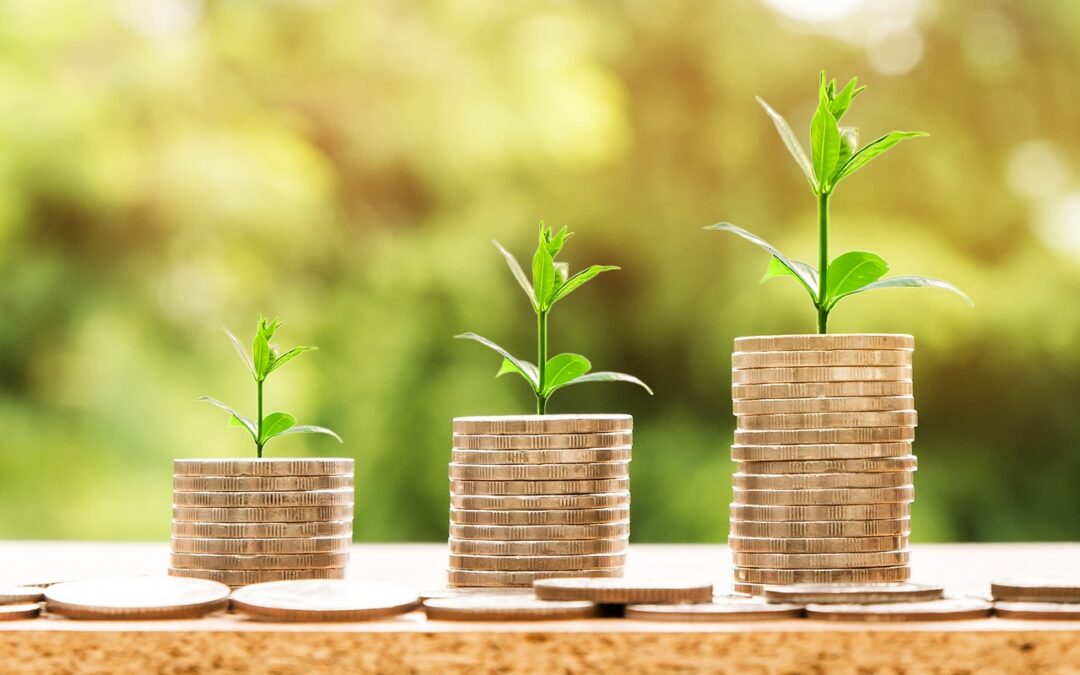 Superannuation en Australie: comment cotiser et récupérer la super / Guide 2024