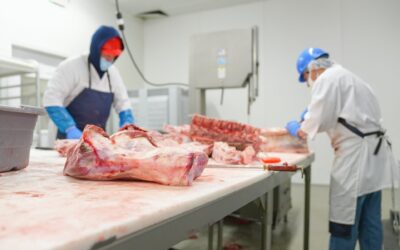 Travailler dans le packing de viande autour d’Adelaide