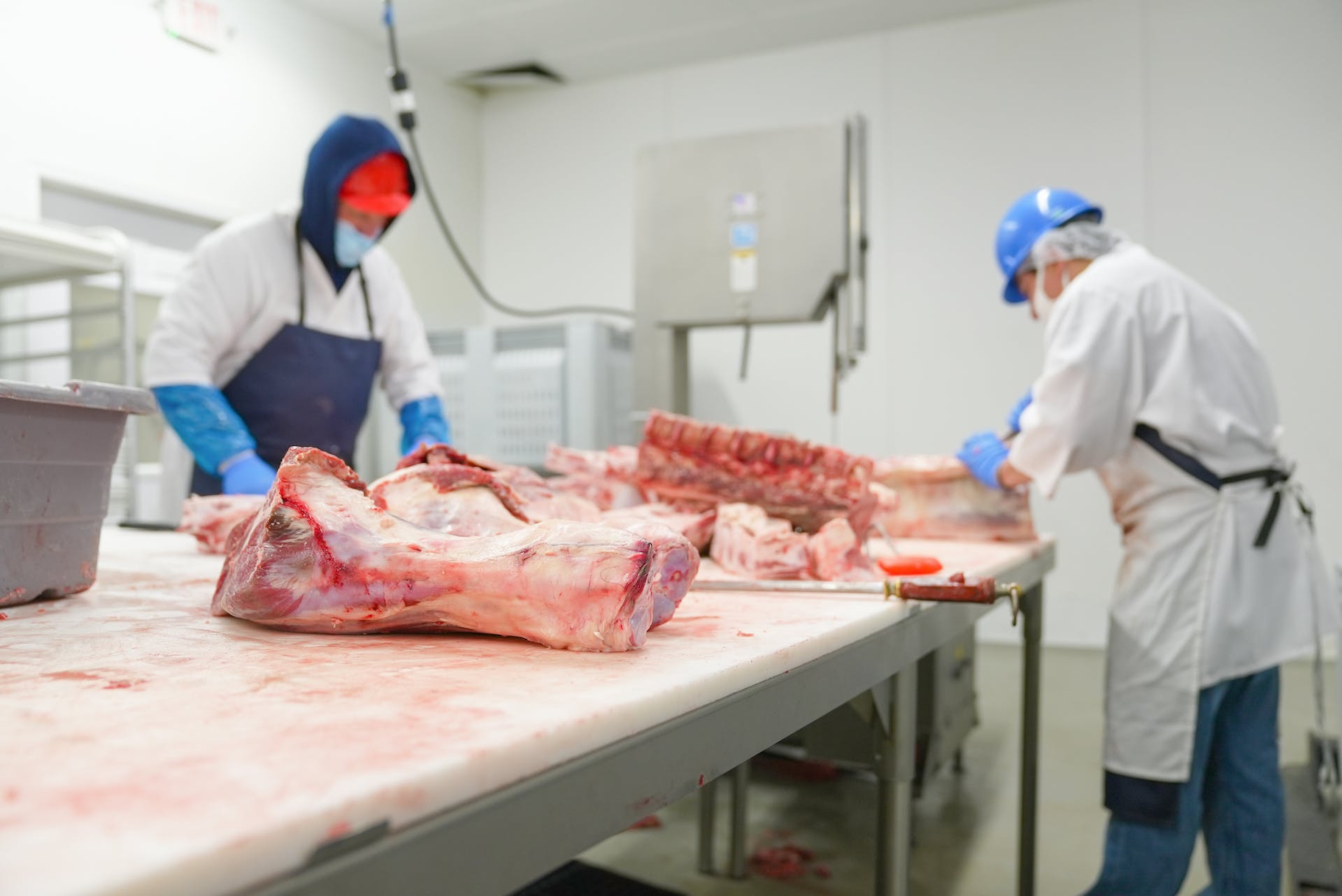 Travailler dans le packing de viande à Adelaide