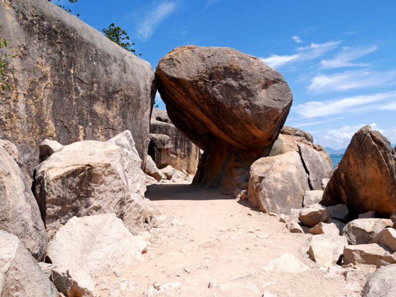 Le meilleur site pour voir des wallabies à Magnetic Island Australie