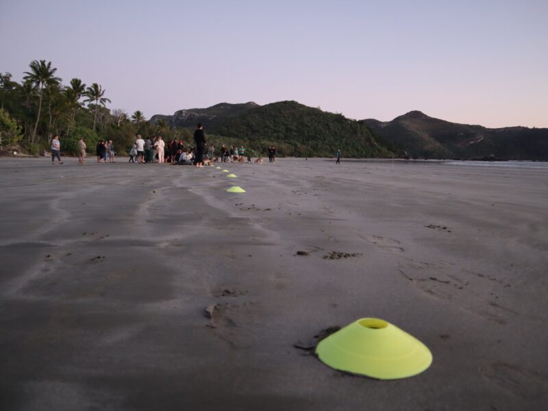 Lever du soleil sur la plage de Cape Hillsborough