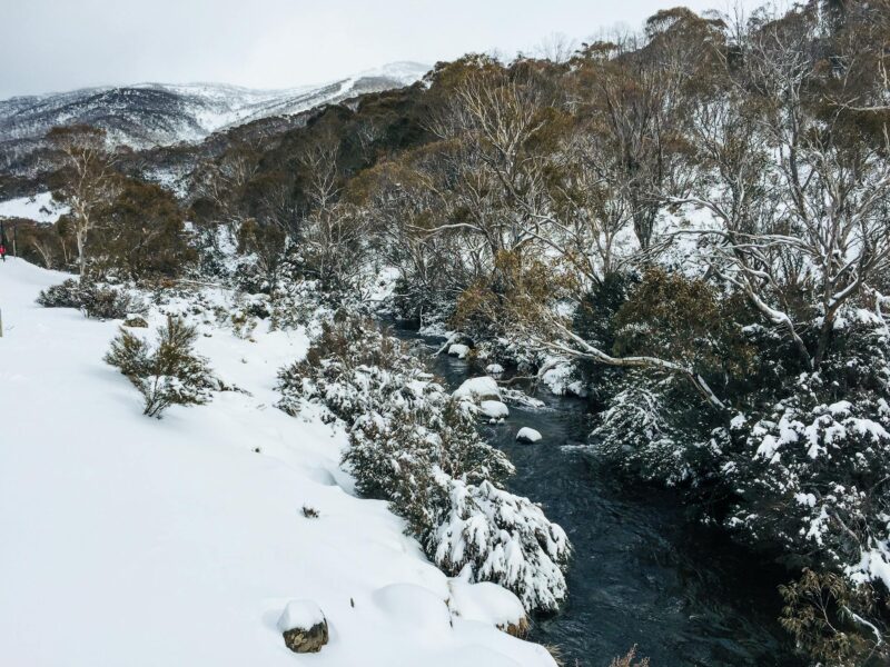 Neige dans le Kosciuszko National Park en Australie