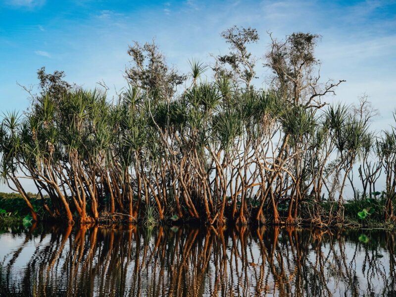 Le parc National du Kakadu dans le Top End en Australie