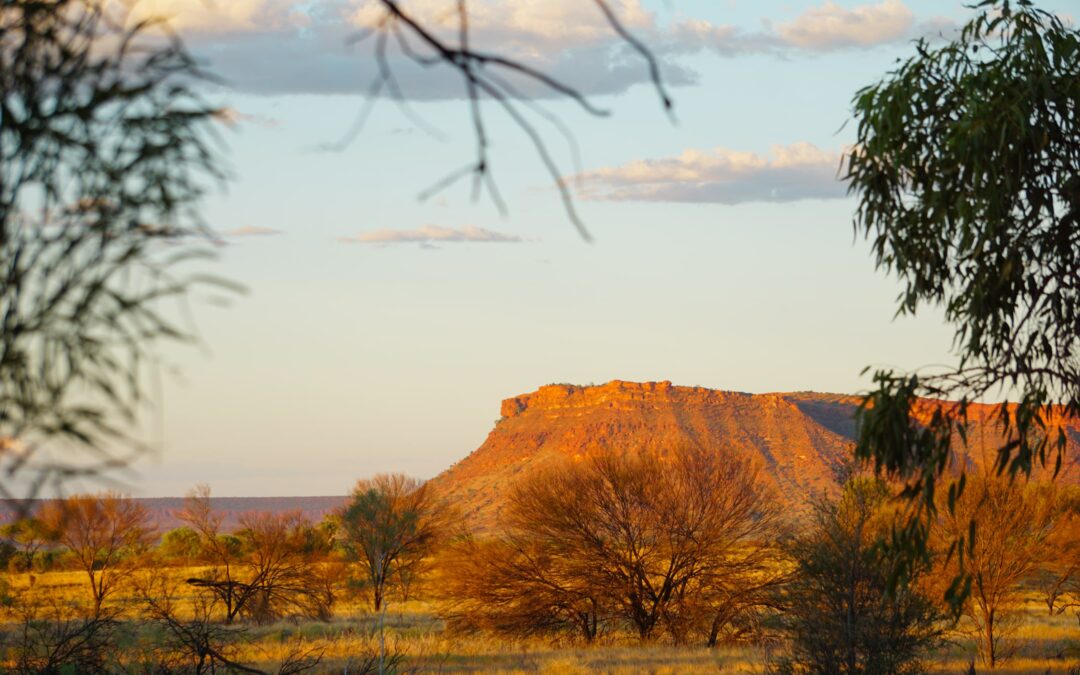 Exemples de jobs et salaires en Australie : guide 2024