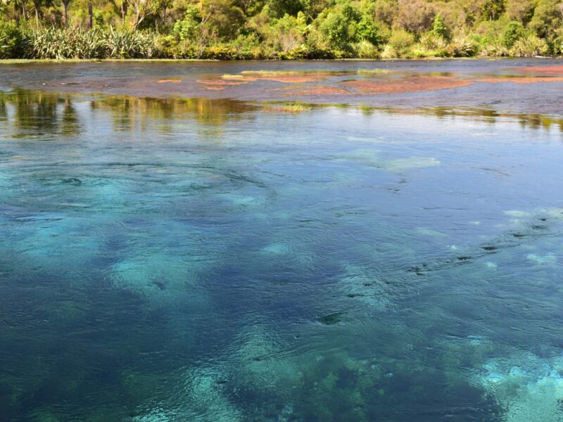 Pupu Springs sur l'île du Sud en Nouvelle-Zélande