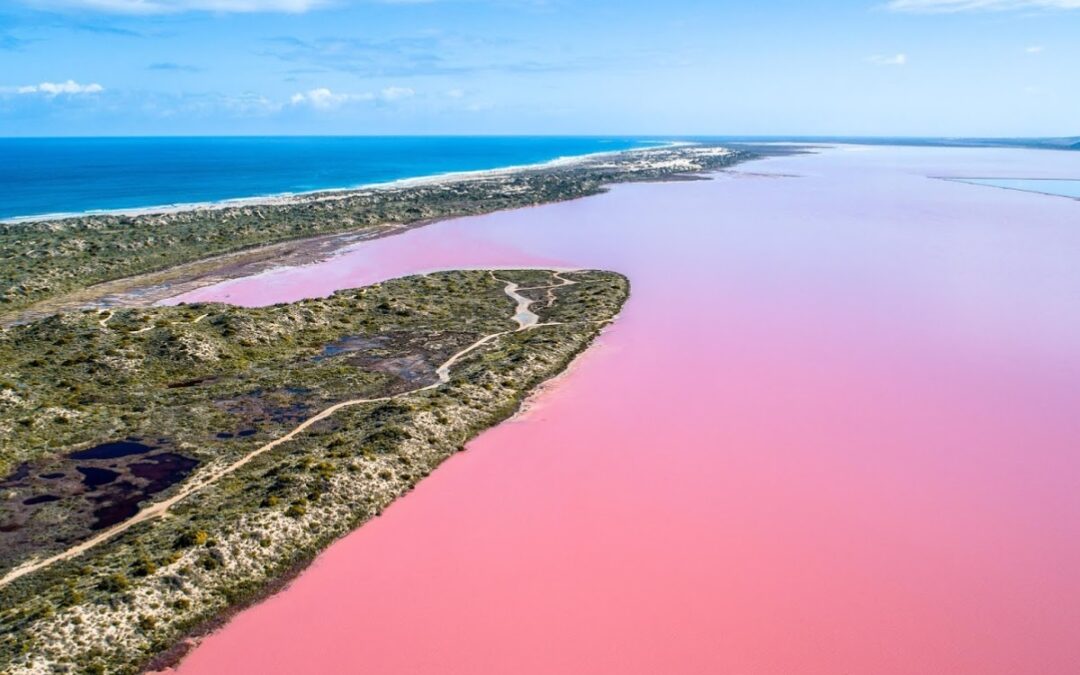 Les Plus Beaux Lacs Roses du Western Australia