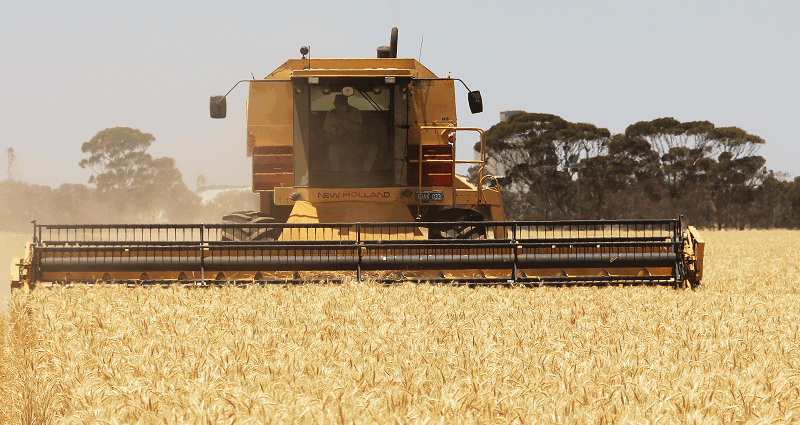 ferme de grain en Australie
