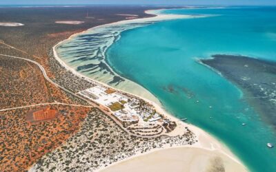 Assurance Working Holiday Australie – Ce qu’il faut savoir avant de partir