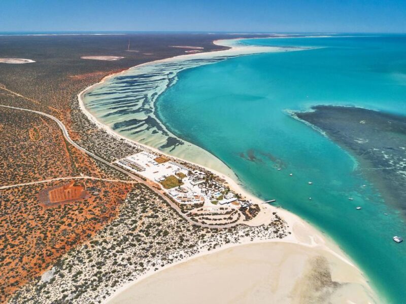 Monkey Mia, Australie