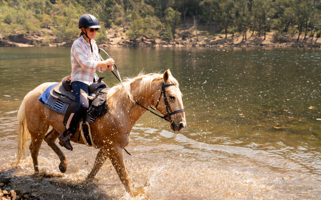 Comment décrocher un job avec les chevaux en Australie : mon guide de cavalière en PVT