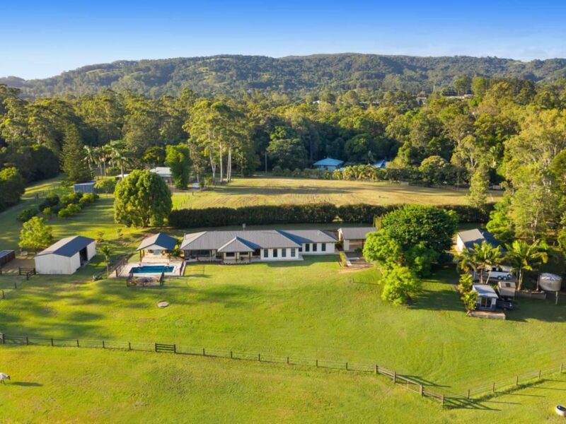 chevaux en Australie