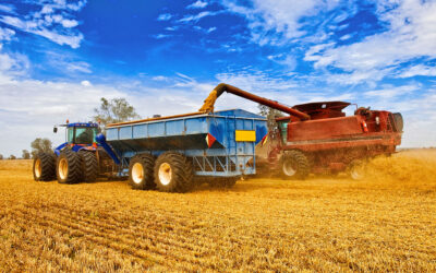 Les métiers les mieux payés en PVT Australie