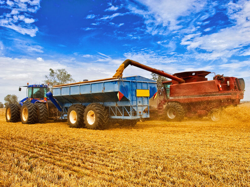 ferme de grain en Australie