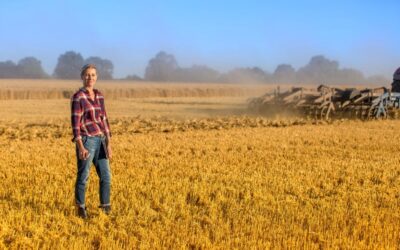 Margaux et son job en ferme de grain en Australie