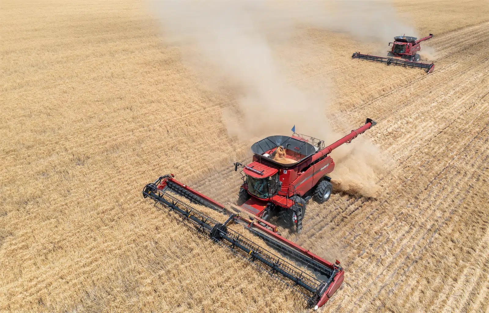 ferme de grain en Australie